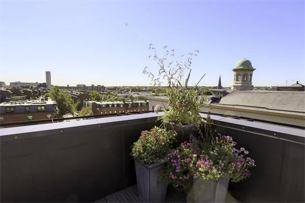 1 bed, 1 bath apartment for rent at 255 Northampton Unit 302, Roxbury — photo 19 of 20