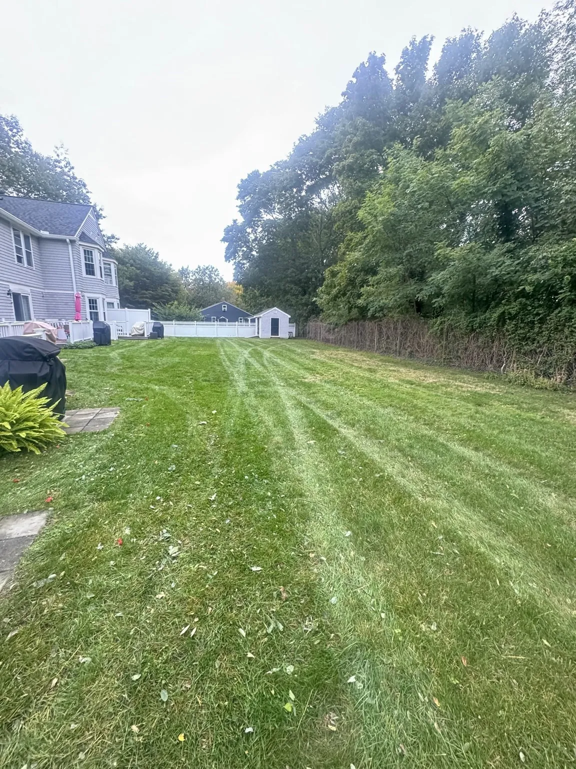 2 bed, 1 bath apartment for rent at 257 Dana Farms Unit 257, East Fairhaven — photo 5 of 24