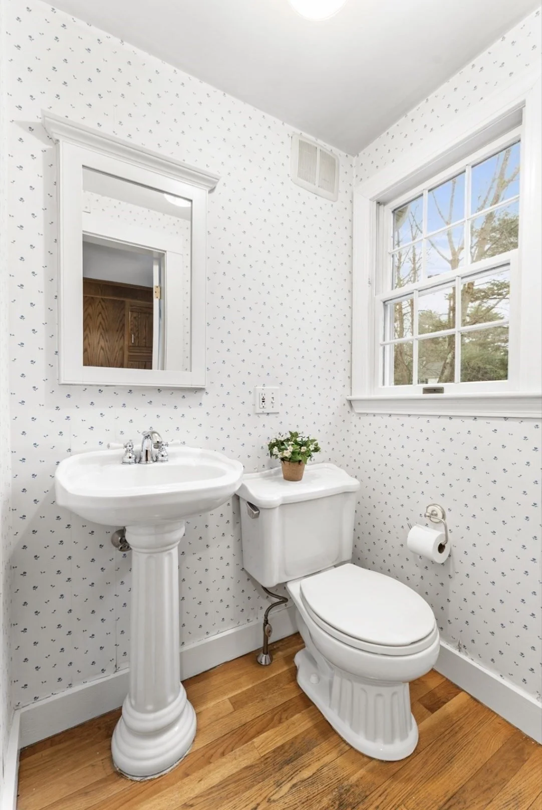 5 bed, 2 bath apartment for rent at 257 Dedham Unit na, Oak Hill — photo 15 of 25