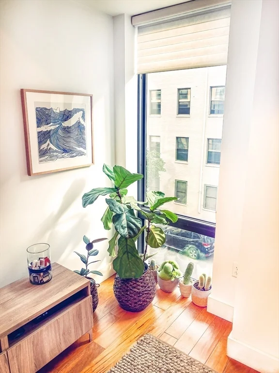1 bed, 1 bath apartment for rent at 257 Northampton Unit 311, South End — photo 5 of 16