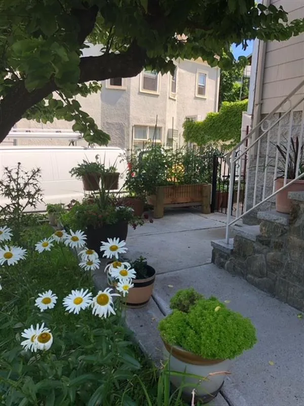 2 bed, 1 bath apartment for rent at 257 Powder House Boulevard Unit 1, West Somerville — photo 15 of 18
