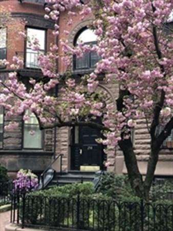 1 bed, 1 bath apartment for rent at 258 Marlborough Unit 2R, Back Bay — photo 1 of 7