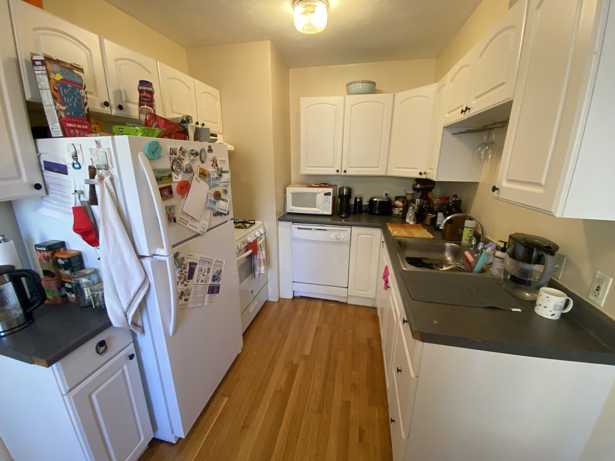 3 bed, 2 bath apartment for rent at 259 Beacon St Unit R, Ward Two — photo 5 of 20