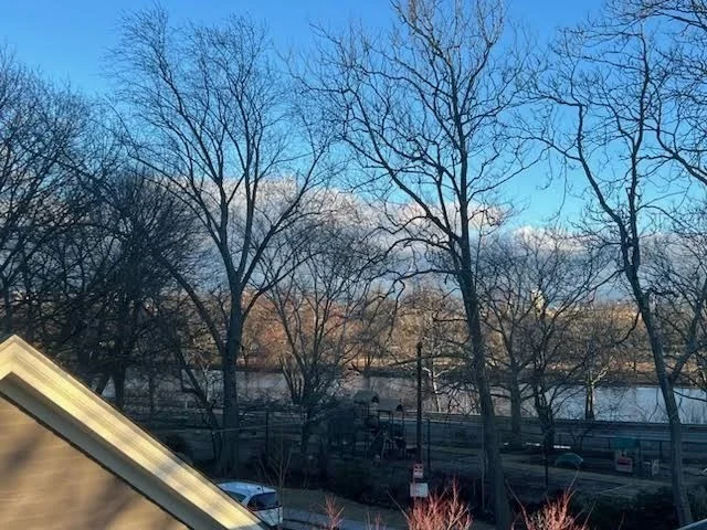 4 bed, 3 bath apartment for rent at 259 Mount Auburn Unit 259, Cambridge — photo 20 of 20