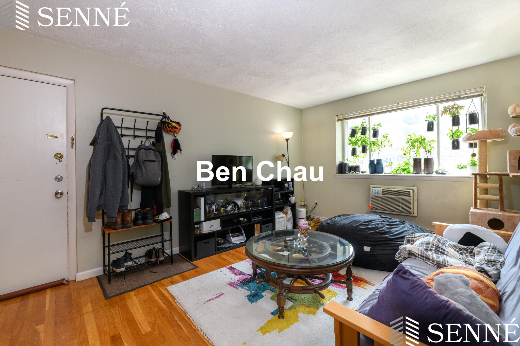 2 bed, 1 bath apartment for rent at 259 Summer St Unit 12B, Spring Hill — photo 2 of 9