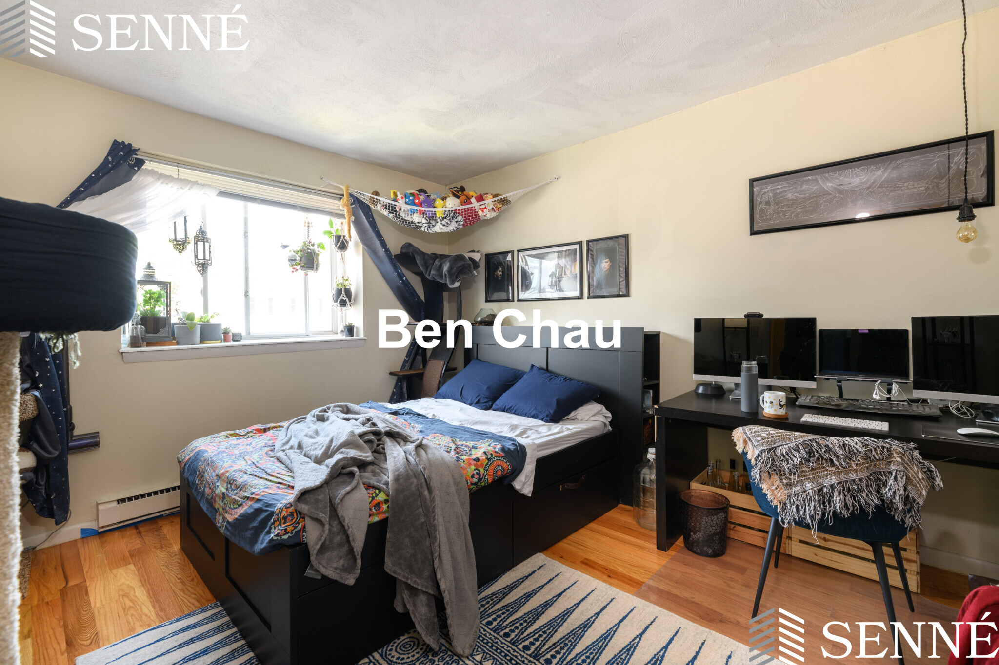 2 bed, 1 bath apartment for rent at 259 Summer St Unit 12B, Spring Hill — photo 4 of 9