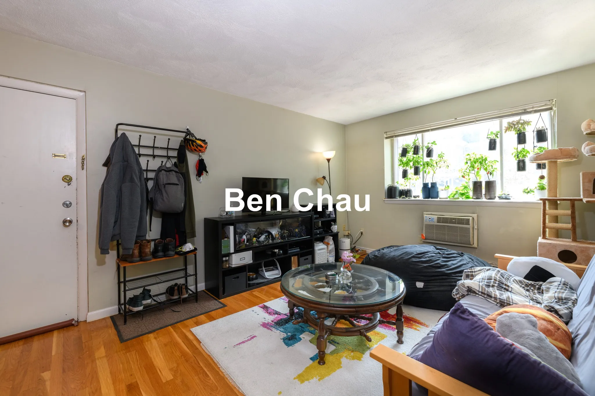 2 bed, 1 bath apartment for rent at 259 Summer St Unit 1B, Spring Hill — photo 2 of 9