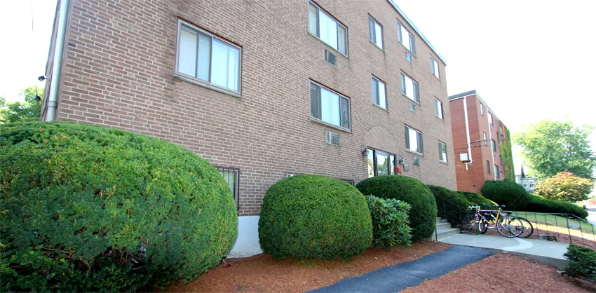 1 bed, 1 bath apartment for rent at 26 Allston St Unit 26-3, Brighton — photo 4 of 4