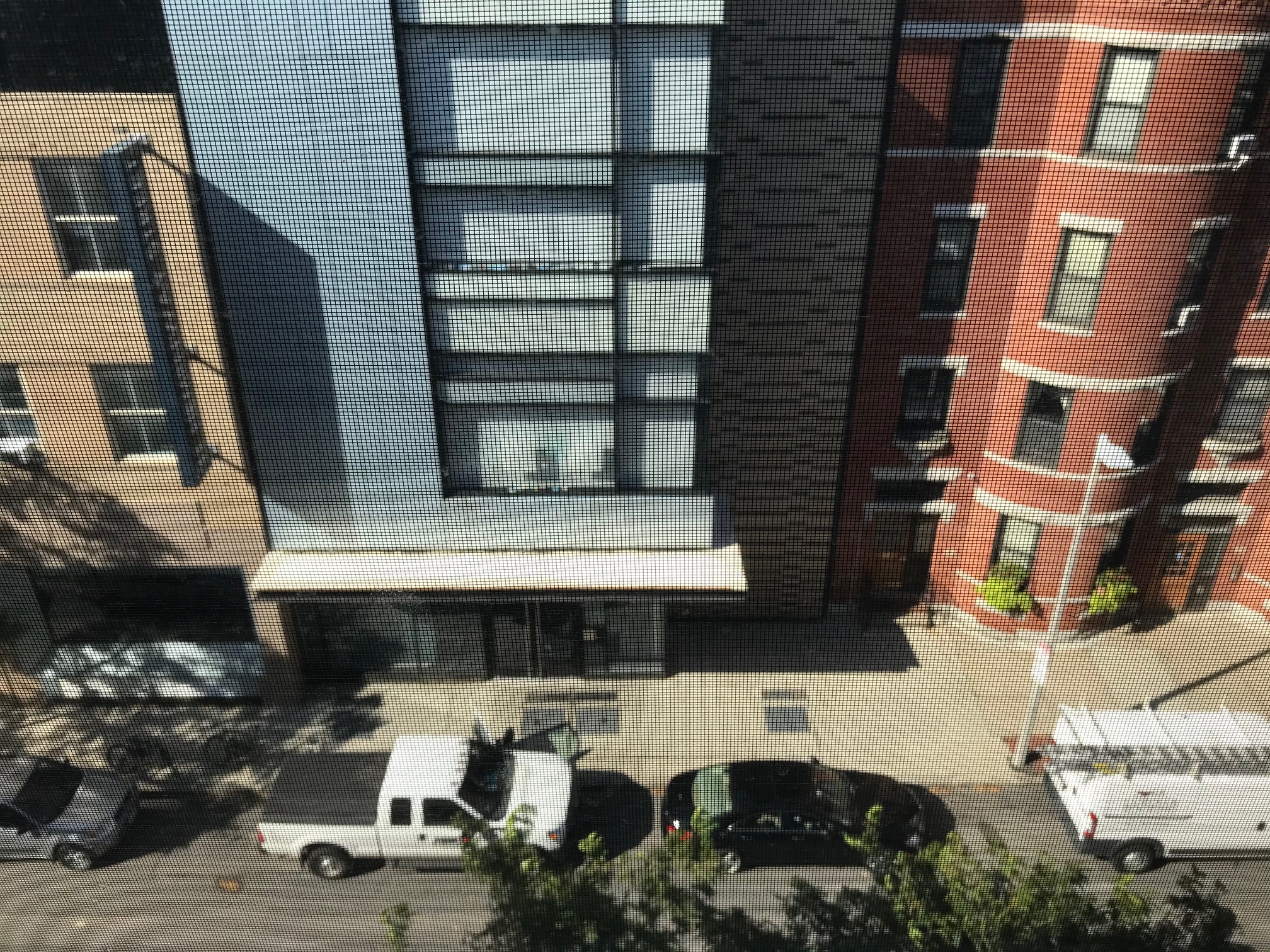 1 bed, 1 bath apartment for rent at 26 Hemenway St Unit 37, Fenway — photo 3 of 11