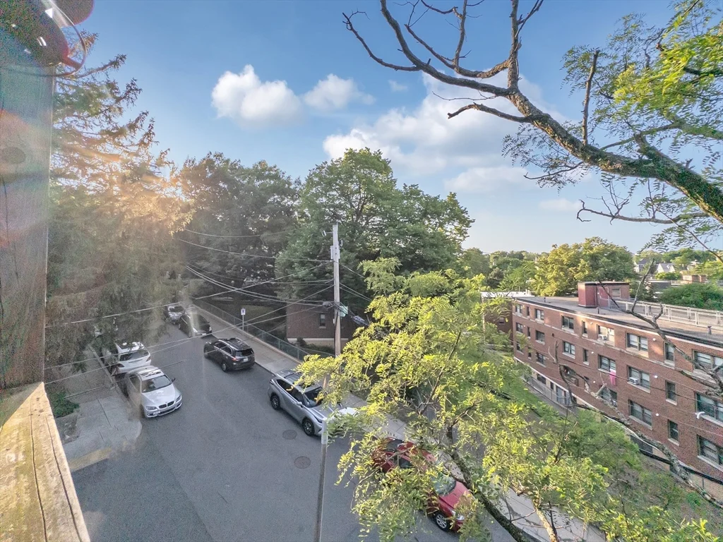3 bed, 1 bath apartment for rent at 26 St Rose St Unit 1, Jamaica Plain — photo 38 of 40