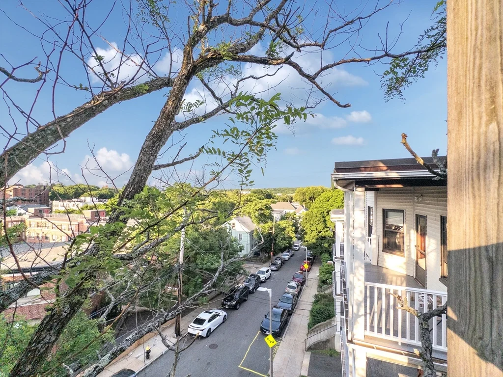 3 bed, 1 bath apartment for rent at 26 St Rose St Unit 1, Jamaica Plain — photo 39 of 40