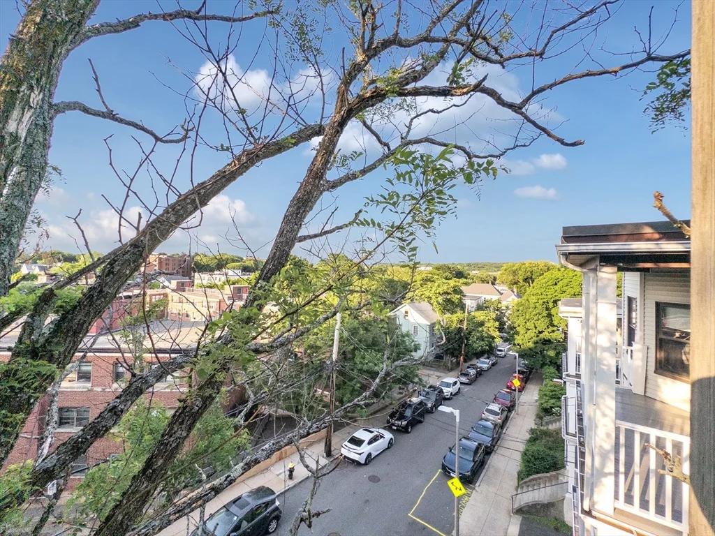 3 bed, 1 bath apartment for rent at 26 St Rose St Unit 1, Jamaica Plain — photo 40 of 40