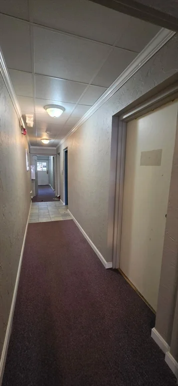 1 bed, 1 bath apartment for rent at 26 W Wyoming Ave Unit 3A, Melrose — photo 10 of 16