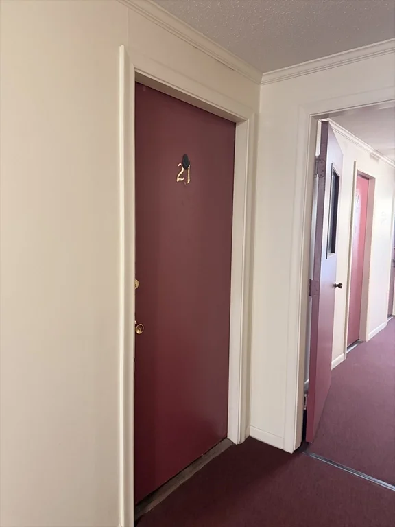 1 bed, 1 bath apartment for rent at 262 E Haverhill St Unit 21, Lawrence — photo 12 of 13