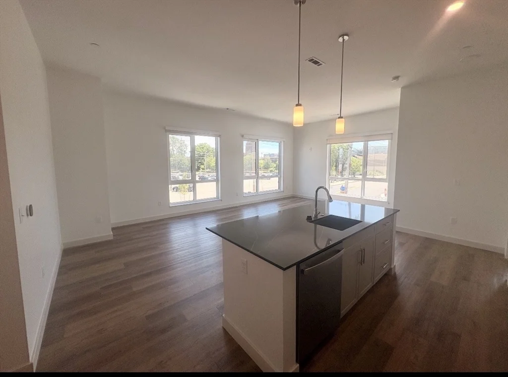 2 bed, 1 bath apartment for rent at 266 Canal St Unit 1215, Glenwood — photo 3 of 29