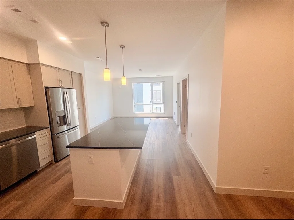 1 bed, 1 bath apartment for rent at 266 Canal St Unit 4404, Glenwood — photo 2 of 23