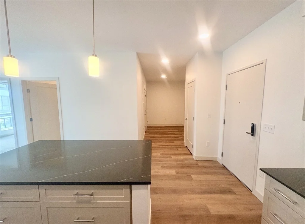 1 bed, 1 bath apartment for rent at 266 Canal St Unit 4404, Glenwood — photo 3 of 23