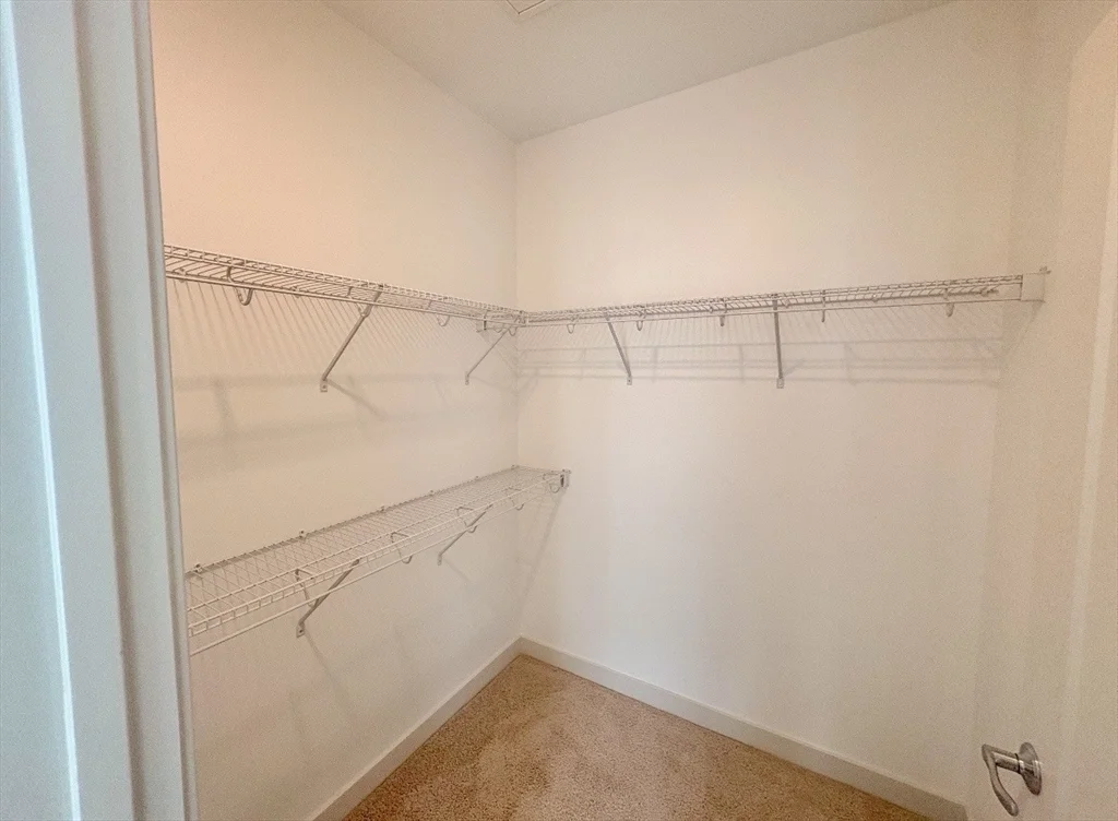 1 bed, 1 bath apartment for rent at 266 Canal St Unit 4404, Glenwood — photo 8 of 23