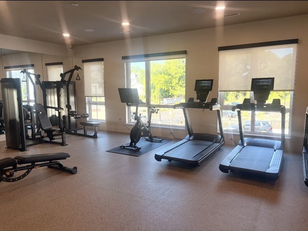 Studio bed, 1 bath apartment for rent at 266 Canal St Unit 5511, Glenwood — photo 8 of 18
