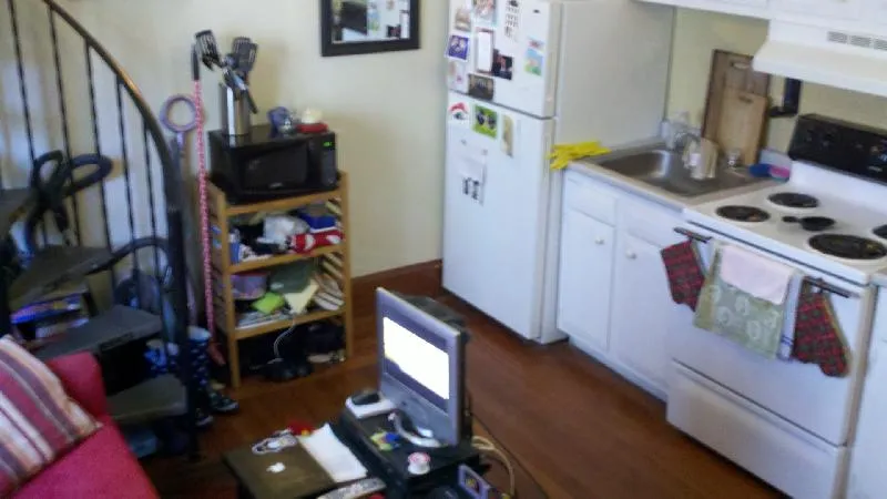 Studio bed, 1 bath apartment for rent at 266 Chestnut Hill Ave Unit 3, Brighton — photo 3 of 14