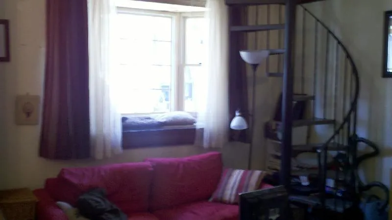 Studio bed, 1 bath apartment for rent at 266 Chestnut Hill Ave Unit 3, Brighton — photo 4 of 14