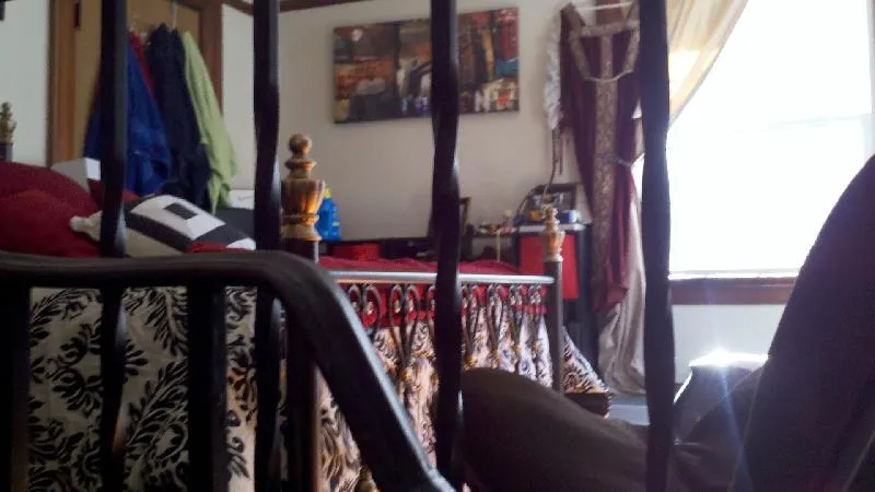 Studio bed, 1 bath apartment for rent at 266 Chestnut Hill Ave Unit 3, Brighton — photo 7 of 14