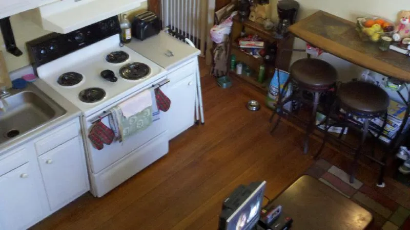 Studio bed, 1 bath apartment for rent at 266 Chestnut Hill Ave Unit 3, Brighton — photo 2 of 14