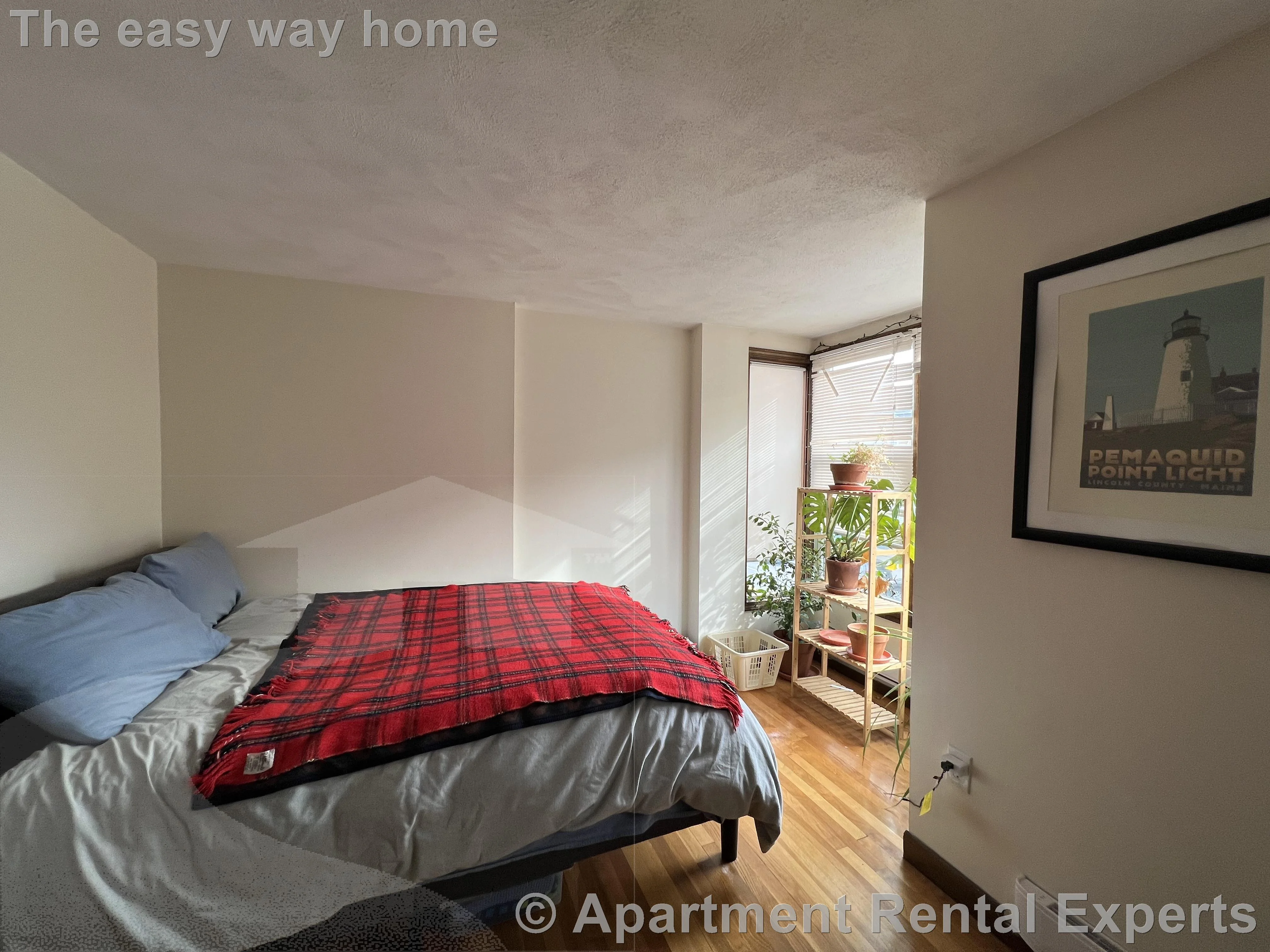 1 bed, 1 bath apartment for rent at 267 Main St Unit 2A, Charlestown — photo 2 of 9