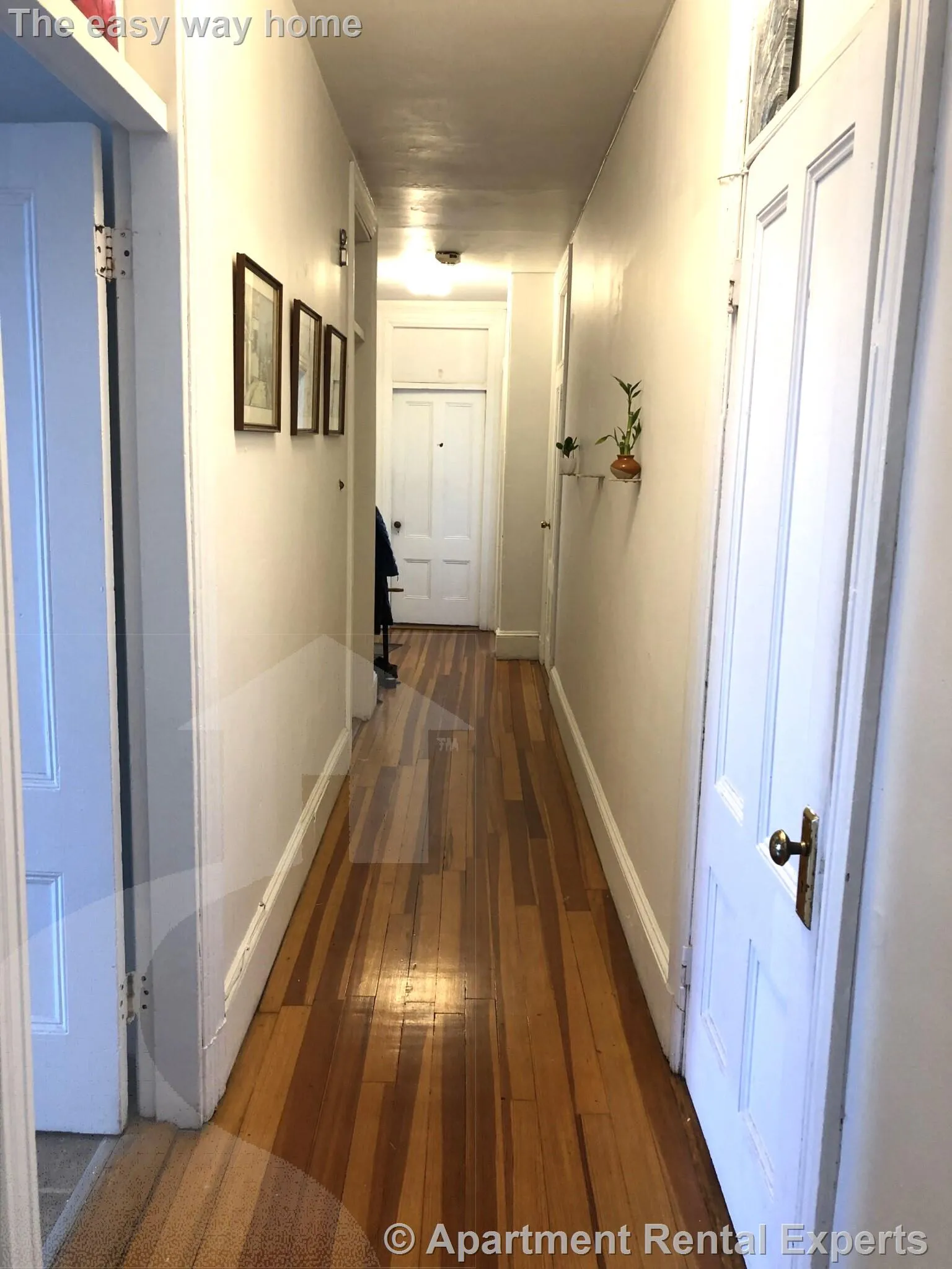 4 bed, 1 bath apartment for rent at 268 Broadway Unit 3, Central Square — photo 7 of 12