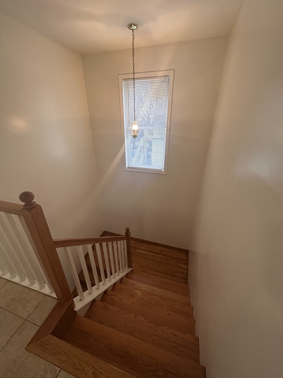 3 bed, 2 bath apartment for rent at 269 Norwell St Unit 2, Dorchester — photo 18 of 21