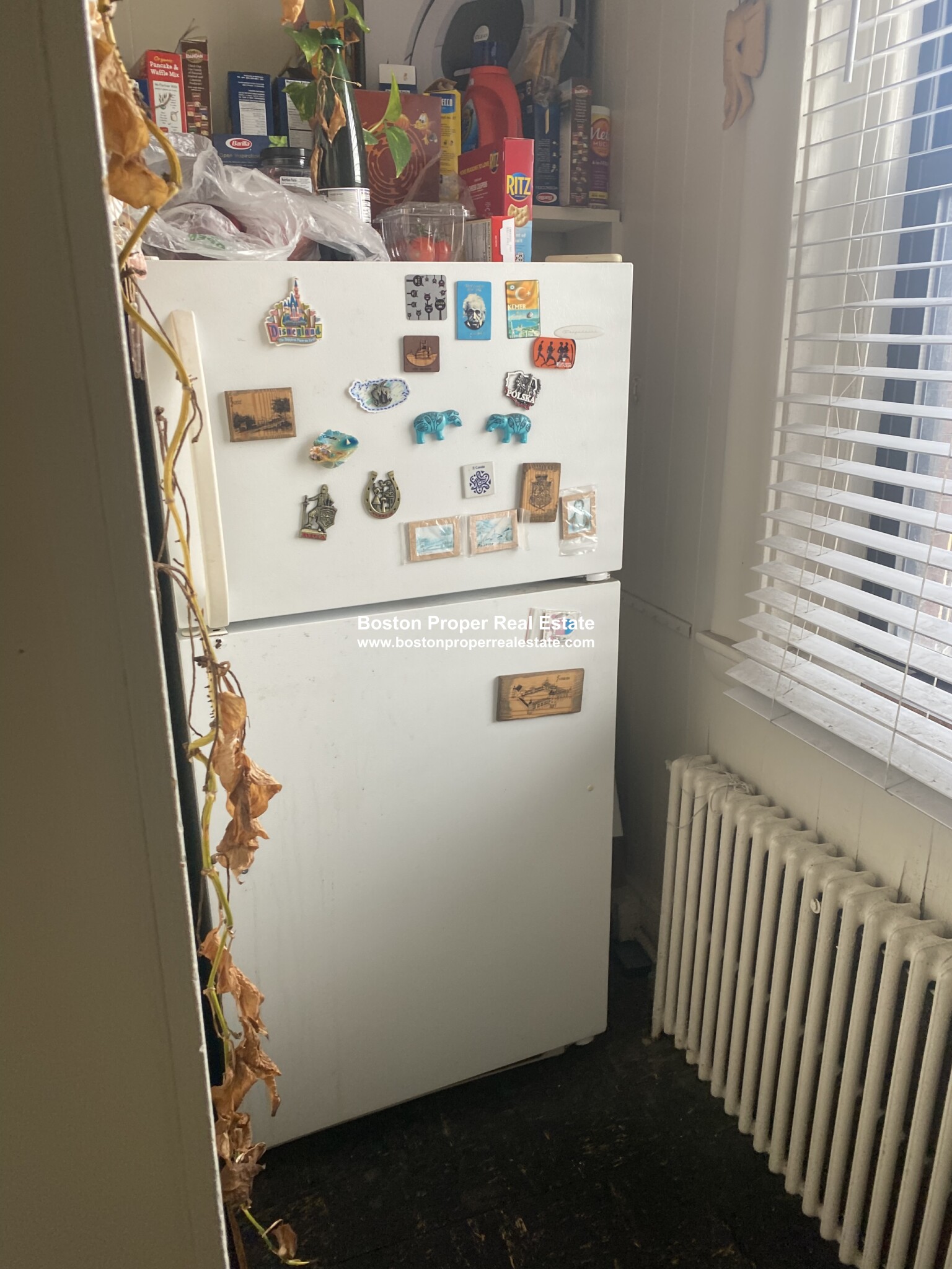 Studio bed, 1 bath apartment for rent at 27 Bay State Rd Unit 4R, Fenway — photo 3 of 10