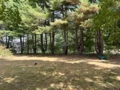 3 bed, 2 bath apartment for rent at 27 Charlesdale Rd, Medfield — photo 24 of 24