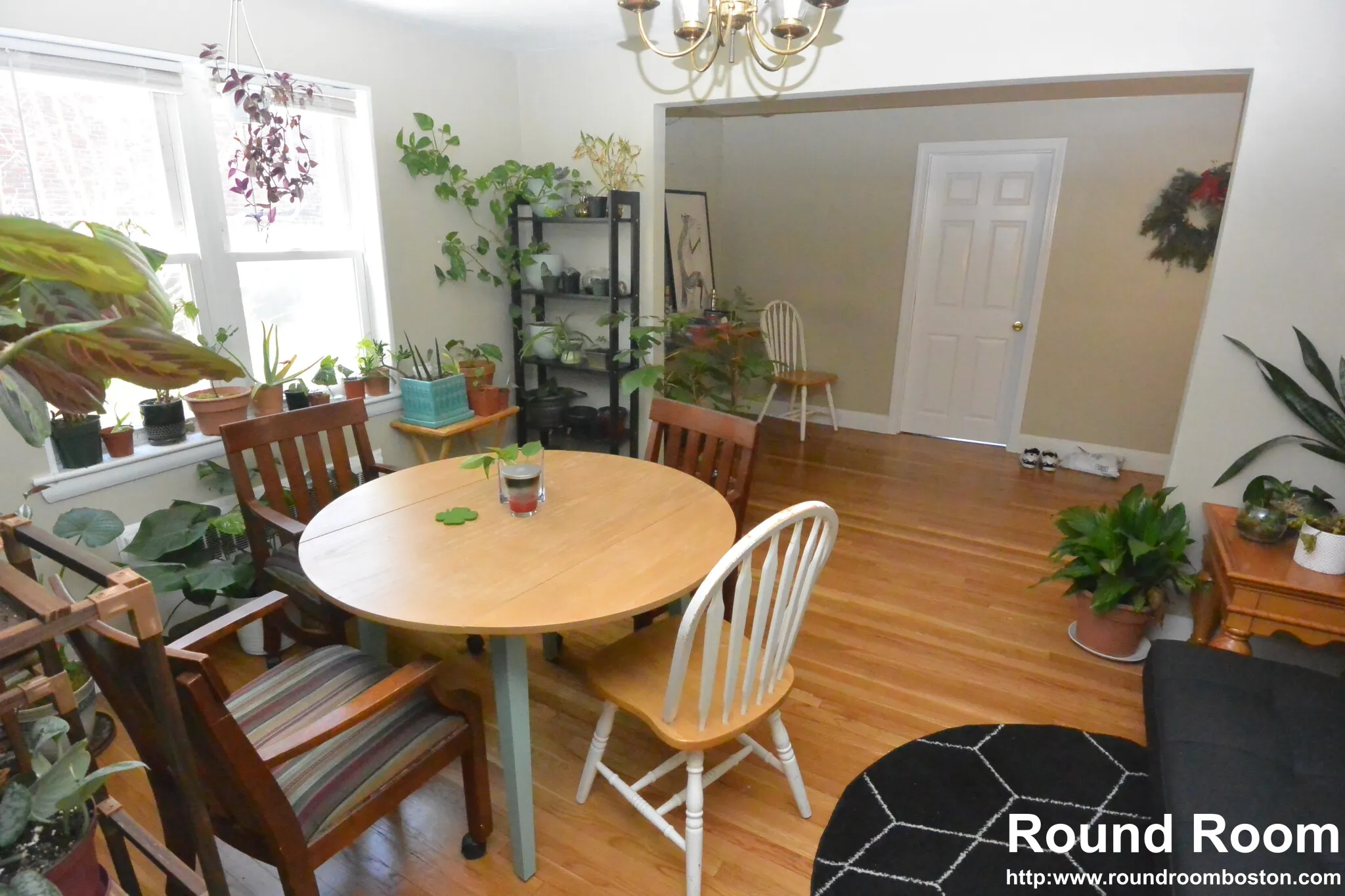 4 bed, 2 bath apartment for rent at 271 Corey Rd Unit 0, Brighton — photo 15 of 37