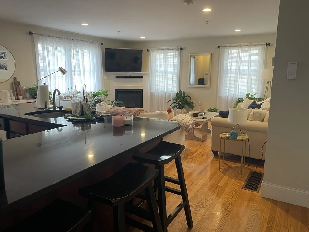 2 bed, 2 bath apartment for rent at 273 Athens St Unit 1A, South Boston — photo 4 of 9