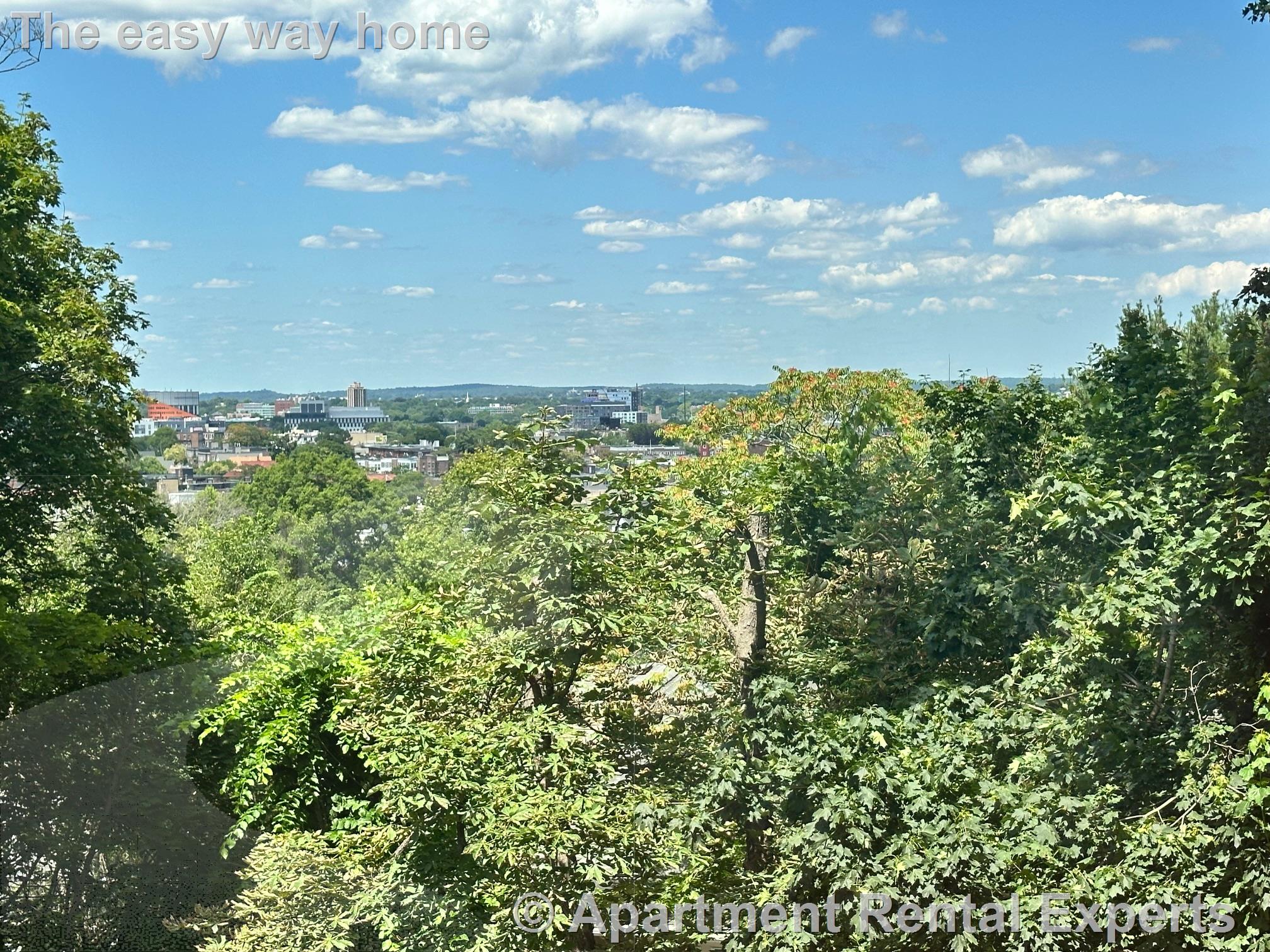 3 bed, 2 bath apartment for rent at 273 Mason Terr Unit 1, Coolidge Corner — photo 2 of 23
