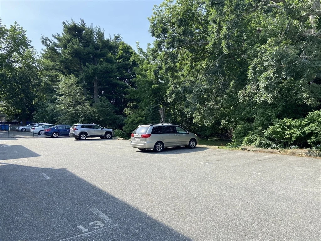 2 bed, 1 bath apartment for rent at 274 River St Unit 2, Waltham — photo 8 of 8