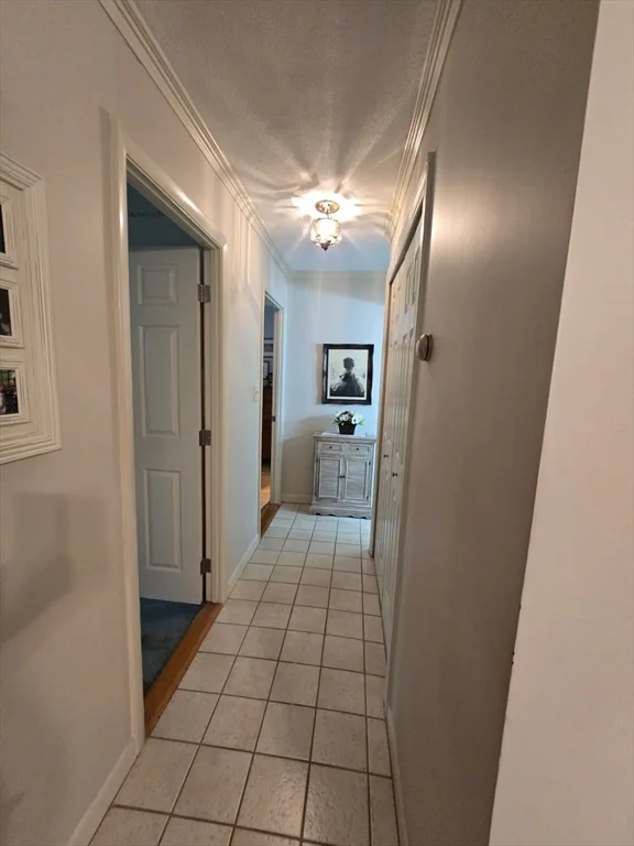 2 bed, 1 bath apartment for rent at 276 Albion St Unit 22, Wakefield — photo 24 of 38