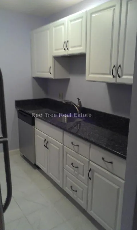 3 bed, 1.5 bath apartment for rent at 276 Chestnut Hill Ave Unit 3, Brighton — photo 2 of 10