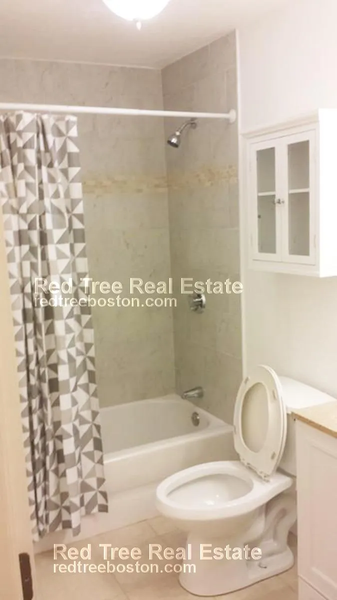 3 bed, 1.5 bath apartment for rent at 276 Chestnut Hill Ave Unit 3, Brighton — photo 8 of 10