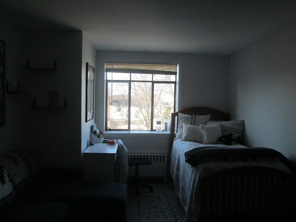 1 bed, 1 bath apartment for rent at 276 Massachusetts Ave Unit 207, Arlington — photo 7 of 9