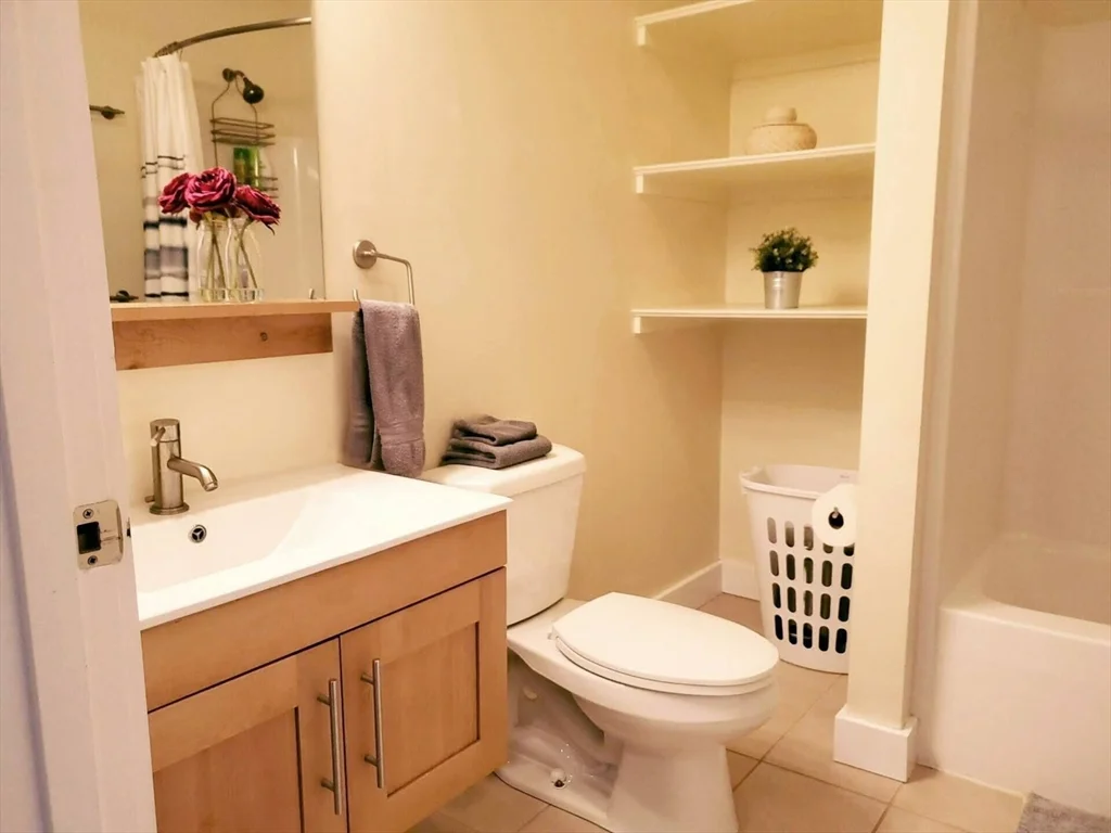 2 bed, 2 bath apartment for rent at 277 Broadway Unit 41, Central Square — photo 9 of 15