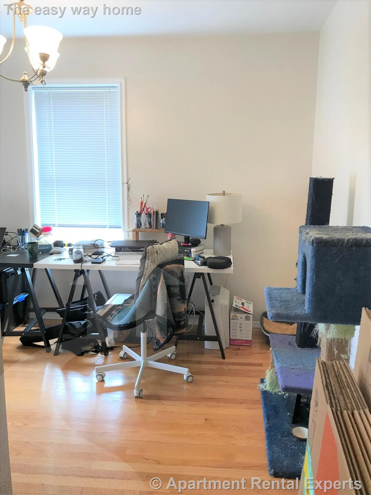 2 bed, 1 bath apartment for rent at 277 Putnam Ave Unit 3, Cambridgeport — photo 7 of 12