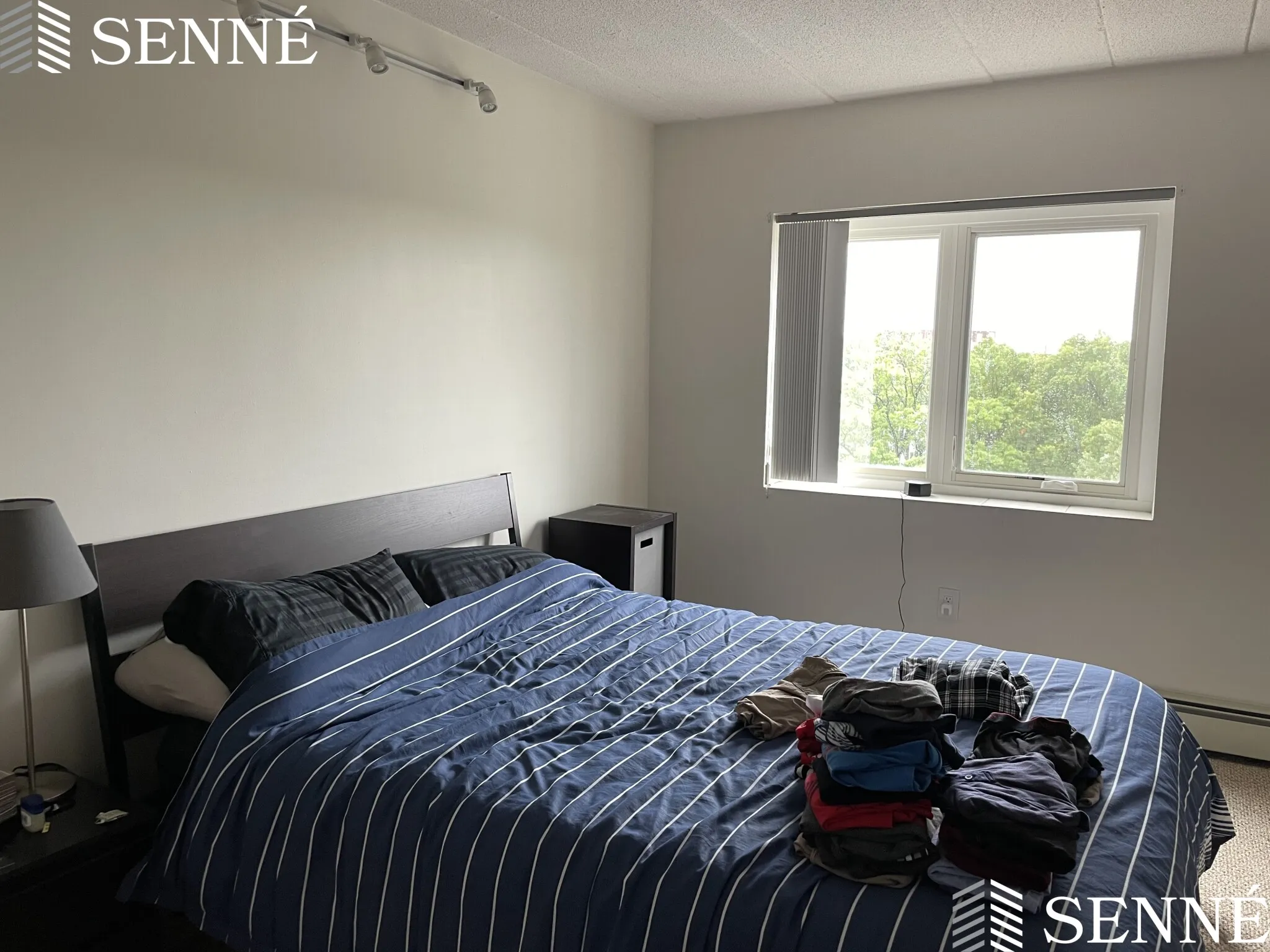 1 bed, 1 bath apartment for rent at 278 Beacon St Unit 25, Somerville