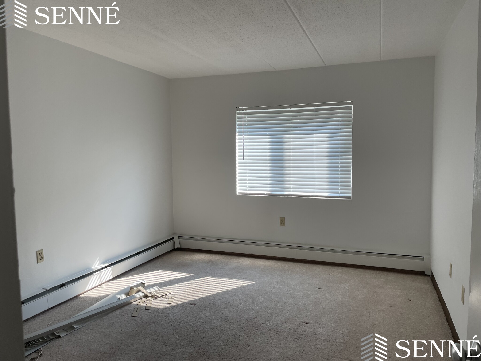 2 bed, 1 bath apartment for rent at 278 Beacon St Unit 62, Ward Two — photo 3 of 9