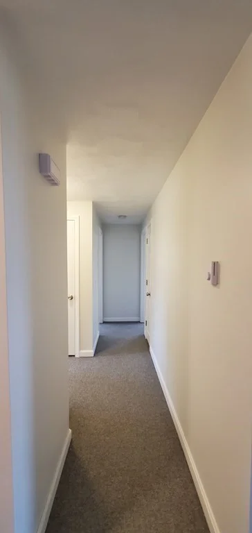 1 bed, 1 bath apartment for rent at 278 Dresser Hill Unit 6, Dudley — photo 4 of 12