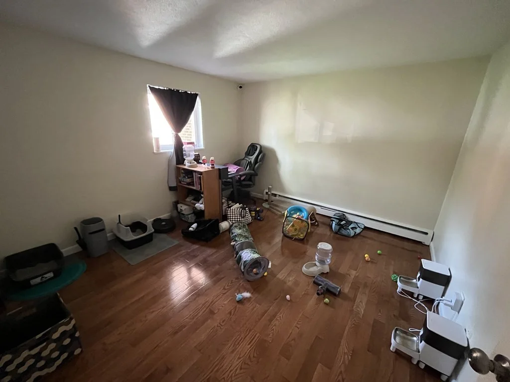 2 bed, 1 bath apartment for rent at 28 Bryon Rd Unit 2, West Roxbury — photo 7 of 10