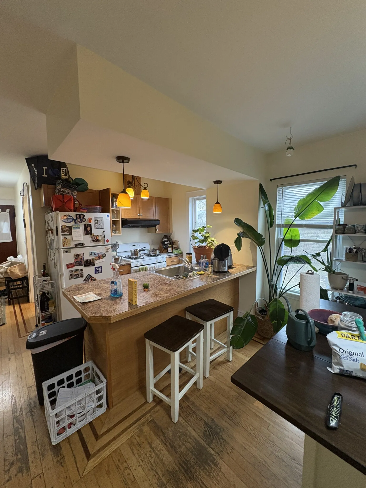 4 bed, 1 bath apartment for rent at 28 Cherry St Unit 1, Spring Hill — photo 3 of 21