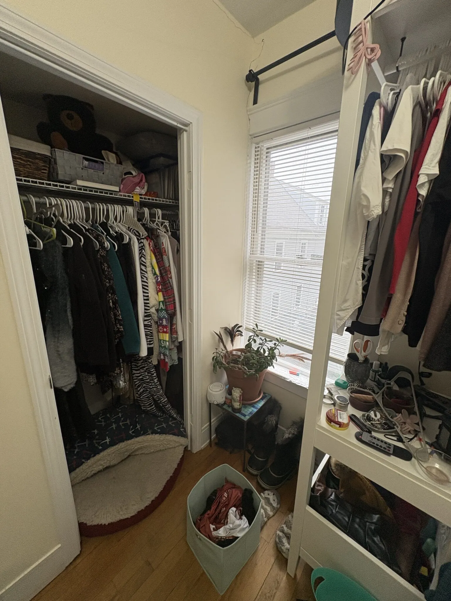 4 bed, 1 bath apartment for rent at 28 Cherry St Unit 1, Spring Hill — photo 15 of 21