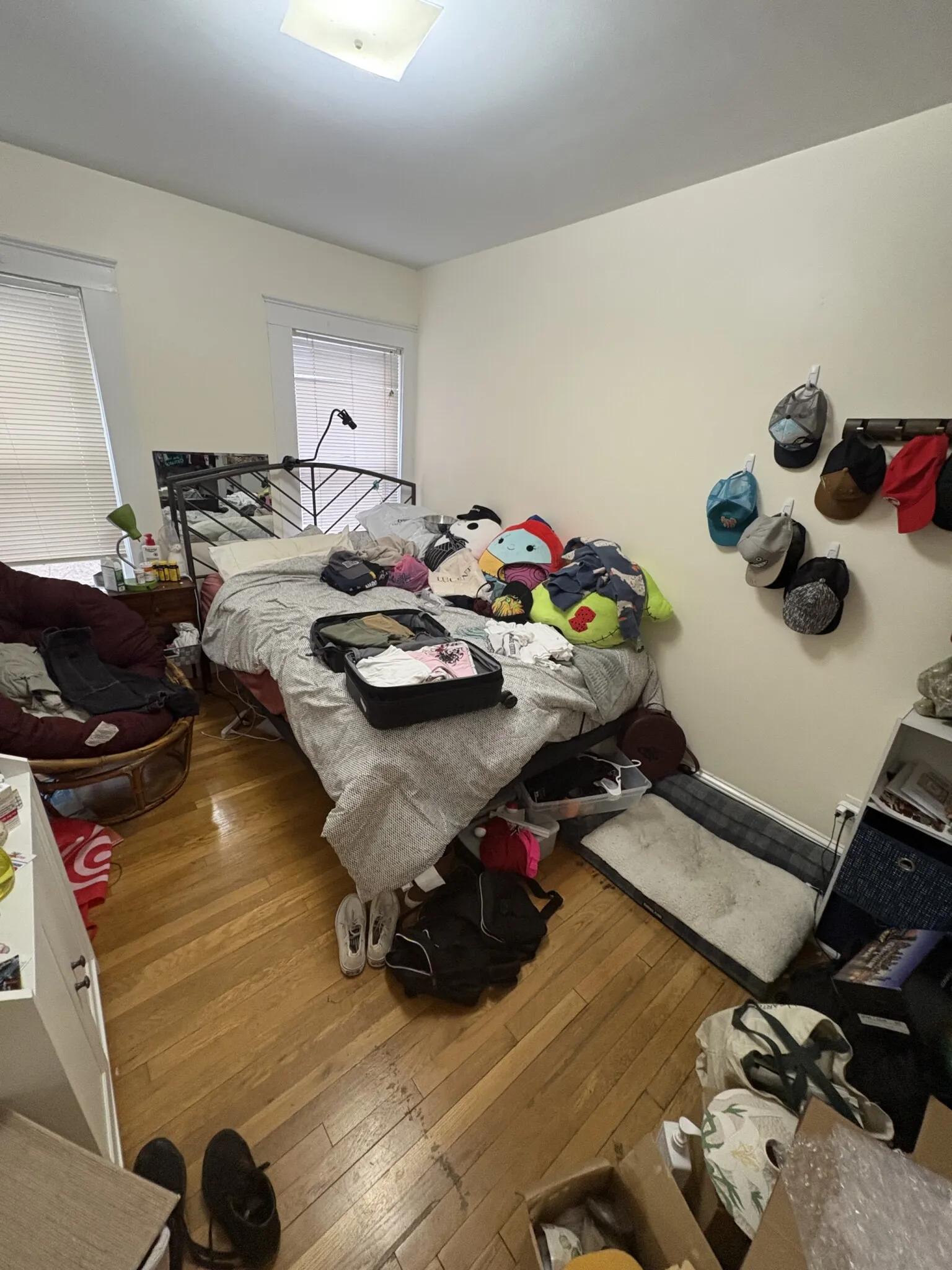 4 bed, 1 bath apartment for rent at 28 Cherry St Unit 1, Spring Hill — photo 12 of 21