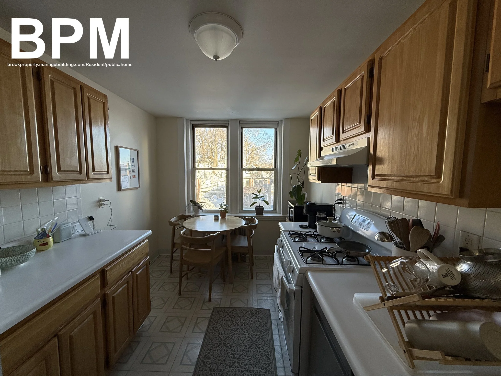 Studio bed, 1 bath apartment for rent at 28 Colborne Rd Unit 8, Brighton — photo 5 of 5